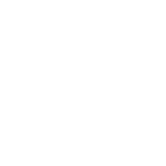 icon-phone